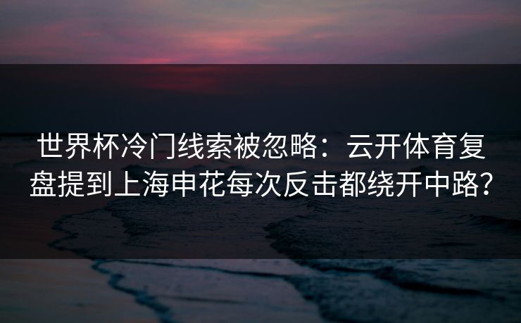 世界杯冷门线索被忽略：云开体育复盘提到上海申花每次反击都绕开中路？