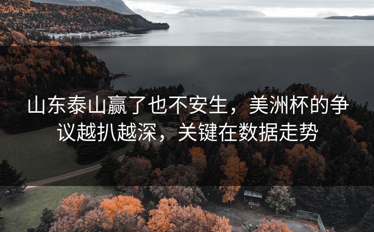 山东泰山赢了也不安生，美洲杯的争议越扒越深，关键在数据走势